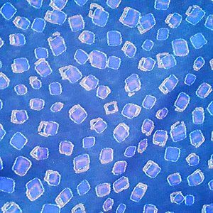 Purple Long Sleeve Blouse